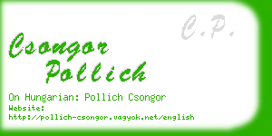 csongor pollich business card